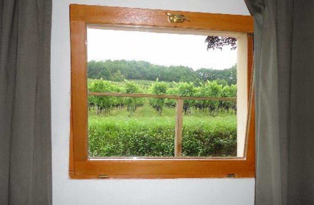 La Petite Madeleine Hotel Castillon-la-Bataille Room photo